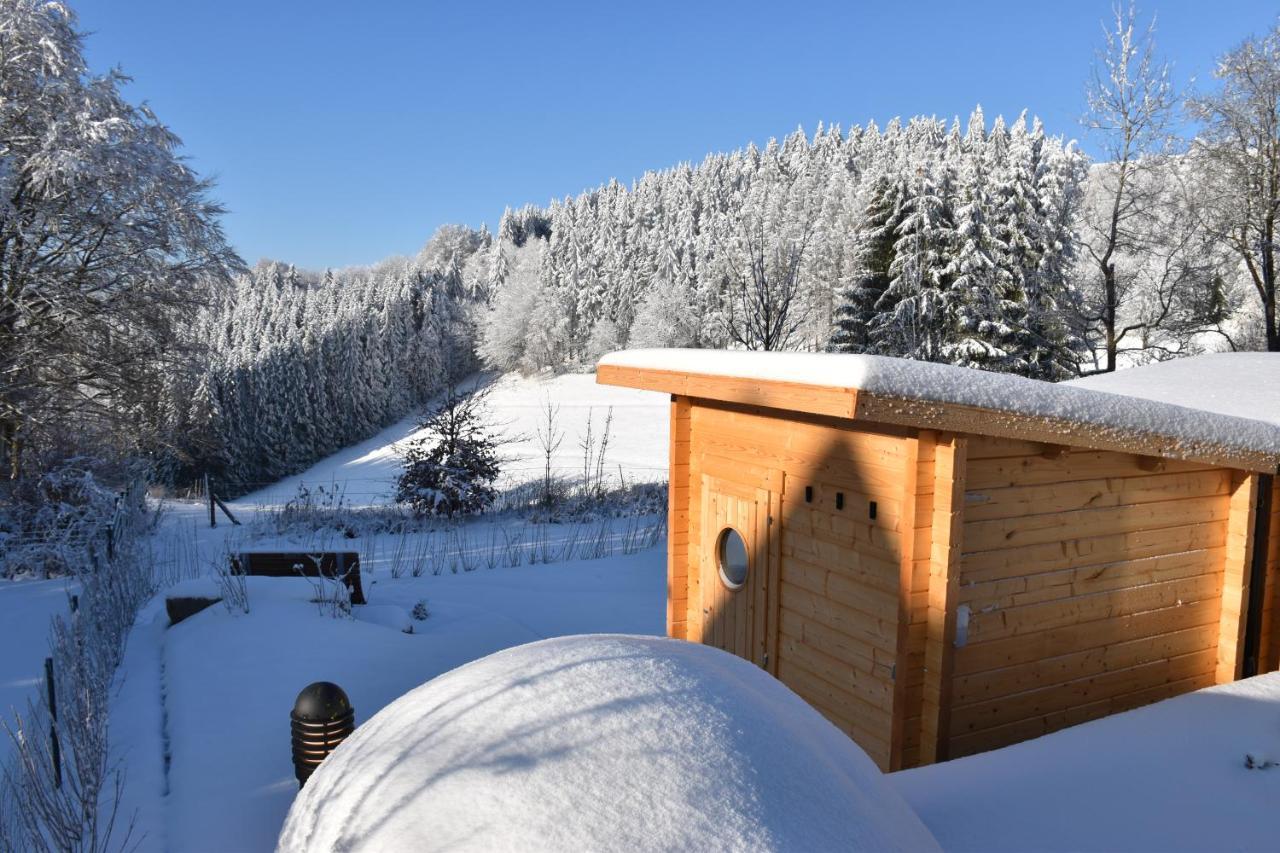 Asten-Chalets Winterberg Esterno foto